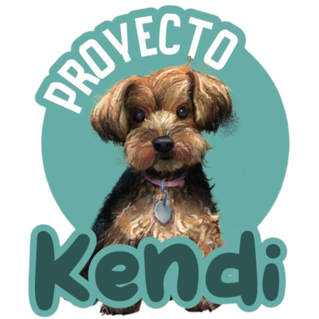 Proyecto Kendi